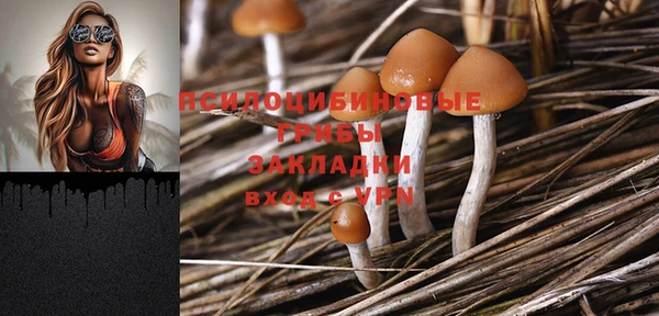 меф Дмитриев